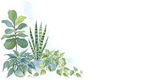 Watercolor houseplants arrangement with fiddle leaf fig, snake plant and trailing pothos on white background for home decor and botanical design projects.