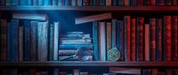 Wooden bookshelf displaying collection of blue and red leather-bound books with framed landscape artwork and decorative globe, organized library storage and home decor.