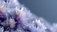 Delicate purple and white chrysanthemum flowers covered in frost crystals creating ethereal winter floral arrangement with soft bokeh background lighting effects.