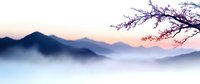 Tranquil mountain landscape at dawn with silhouetted peaks and cherry blossom branch, layered in mystical morning fog creating serene atmospheric perspective.