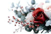 Red and pink roses arrangement with silver eucalyptus leaves and coral berries on white background, soft focus floral composition for wedding and romantic design.