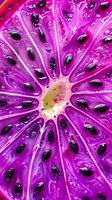 Vibrant purple citrus slice with black seeds in extreme macro showing detailed pulp texture and juicy segments radiating from center in artistic food photography.
