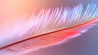 Delicate pink feather macro shot with soft focus and dreamy lighting creates ethereal mood, showing detailed barbs and rachis structure against blurred background.