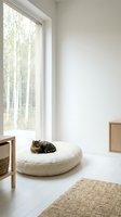 Tabby cat resting on round white cushion in minimalist modern interior with large window overlooking birch forest for home decor and lifestyle concepts.
