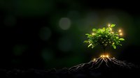 Glowing magical tree sapling growing from soil with illuminated roots and leaves against dark background, fantasy nature concept with bokeh light effects.