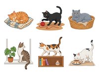 Cute cats in various poses and settings, isolated on white background, ready for design use on merchandise, textiles, and digital projects.