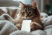 Fluffy tabby cat lying on cozy white bedding while holding smartphone with blank screen, perfect for tech and pet lifestyle content.