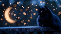 Black cat silhouette against starry night sky with glowing crescent moon and magical bokeh lights creating mystical atmospheric scene for fantasy designs.