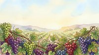 Vineyard landscape with ripe grape clusters in various stages of ripeness, rolling hills, and warm sunlight filtering through the vines, suitable for wine industry marketing and agricultural publications.