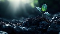 Young green plant seedling growing from fertile soil in dark moody environment with rays of light, symbolizing hope, new beginnings and environmental conservation.