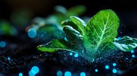 Young green sprout growing from soil with water drops and magical blue bokeh lights in dark background, macro nature photography for environmental concepts.