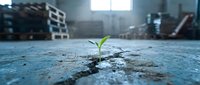 Small green plant seedling growing through crack in concrete floor of abandoned industrial warehouse with natural light streaming through windows.