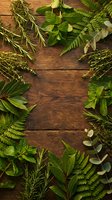 Fresh herbs and green plants arranged in circular frame on rustic wooden background with copy space for natural cooking and wellness designs.