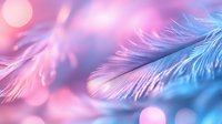 Delicate white feather on pink and blue bokeh background with soft focus and dreamy atmosphere creates ethereal mood for romantic designs and layouts.