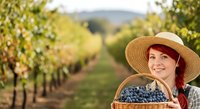 Young woman with red hair wearing straw hat holding basket of fresh grapes in vineyard during harvest season for agriculture and farming concepts.