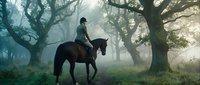 Equestrian rider on dark horse traveling through misty forest with ancient trees, suitable for travel, adventure, and lifestyle editorial use.