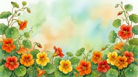 Watercolor nasturtium flowers border with orange, red and yellow blooms, green leaves and vines on soft pastel background with copy space.