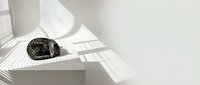 Black woven basket resting on white geometric floor with natural sunlight casting striped shadows, minimalist interior design element for home decor and styling projects.