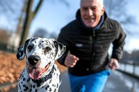 Senior Caucasian man jogging with spotted Dalmatian dog outdoors in winter park. Active lifestyle, pet ownership, fitness and companionship concept.