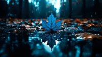 Single blue maple leaf floating on wet ground with rain drops and reflection in dark moody forest setting creates atmospheric autumn scene with bokeh light effects.