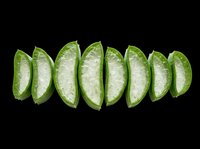 Sliced aloe vera pieces arranged in a row, isolated on transparent background, ready for t-shirt design, stickers, print on demand, and sublimation projects.