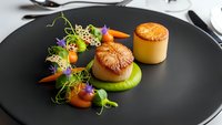 Gourmet seared scallops with microgreens and colorful sauce on black plate. Fine dining restaurant presentation for culinary arts and food photography.