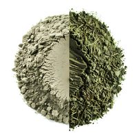 Powdered and dried green tea matcha comparison showing texture and color difference on white background, isolated circular composition for culinary use.