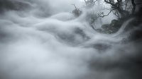Mystical fog swirling through dark forest with bare tree branches creating atmospheric moody landscape for horror fantasy and supernatural themes.