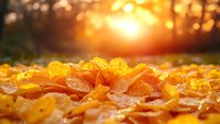 Fallen autumn maple leaves covered in morning dew drops glowing in golden sunrise light, creating magical bokeh effect in forest background.