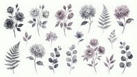 Watercolor botanical elements in muted purple and gray tones isolated on white background for wedding invitations, scrapbooking and floral design projects.