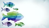 Colorful watercolor fish silhouettes swimming in group formation on white background. Marine life artwork for ocean themed designs and aquatic decorations.