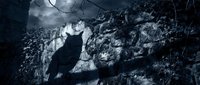 Dark silhouette of raven perched on rocky cliff against stormy cloudy sky. Mysterious gothic atmosphere for horror themes and dramatic storytelling.