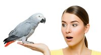 Young woman with brown hair and fair complexion wearing yellow shirt, holding African grey parrot on her hand, expressing surprise and wonder, isolated on white background for pet care, animal education, and wildlife content.