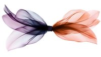 Ethereal abstract composition featuring delicate translucent petals in contrasting purple and coral pink tones, joined symmetrically in center, creating flowing organic shapes.
