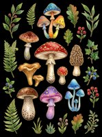 Mushrooms and botanical foliage collection isolated on transparent background, ready for t-shirt design, clipart, stickers, sublimation and print-on-demand projects.