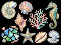 Watercolor ocean life collection featuring nautilus shell, scallop, conch, seahorse, starfish, coral, sea glass, and shells isolated on transparent background. Ready for t-shirt designs, clipart, stickers, sublimation, and print-on-demand projects.