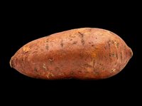 Whole sweet potato with russet skin isolated on transparent background, ready for clipart, print-on-demand, sublimation, t-shirt design, and sticker applications.