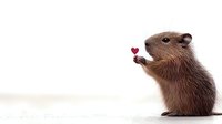 Adorable brown capybara holding tiny red heart on white background, isolated cute animal character for valentines day designs and greeting cards.