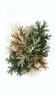 Watercolor botanical illustration of green and brown foliage with organic textures and paint splatters on white background for nature design projects.