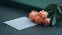 Delicate coral roses lying beside blank white card on dark background, creating romantic mood for wedding invitations, valentines or sympathy messages.