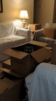 Gray cat with glowing green eyes hiding in a cardboard box labeled Books, surrounded by moving boxes and sheet-covered furniture in dim room.