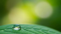 Water droplet on green leaf with natural bokeh background for environmental and nature concepts.
