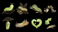 Cute caterpillar clipart set isolated on transparent background, featuring cartoon and realistic styles, ready for stickers, t-shirt design, and print on demand.