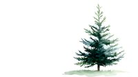 Watercolor pine tree with soft green needles and natural shading stands alone on gentle ground wash, minimalist nature artwork on white background.