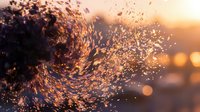 Water splash with golden sunset light creating magical droplets and bokeh effects in warm evening atmosphere.