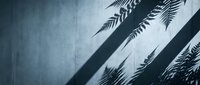 Fern leaf shadows cast on textured concrete wall, creating natural light patterns for botanical and minimalist design projects.