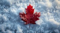 Vibrant red maple leaf resting on fresh white snow with dramatic lighting, creating contrast between warm and cold elements. Natural winter scene for seasonal designs.