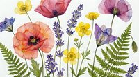 Watercolor wildflower arrangement featuring poppies, lavender, buttercups and ferns on white background. Botanical illustration for floral design, greeting cards, wallpaper and home decor.