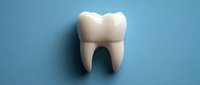 White molar tooth model on blue background, dental care concept for dentistry, oral hygiene, and medical education.