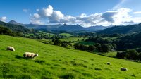 Sheep grazing on lush green hillside pasture with dramatic mountain landscape and blue sky with white clouds in background, rural countryside scenery.